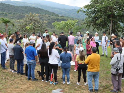 ÍNDICE DE CALIDAD DE VIDA