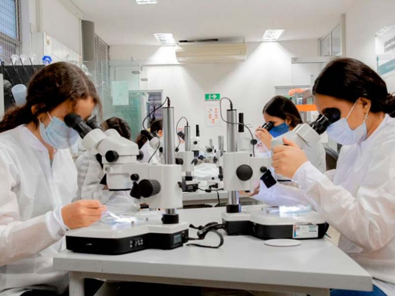 BLOG TIC - UNIVERSIDADES