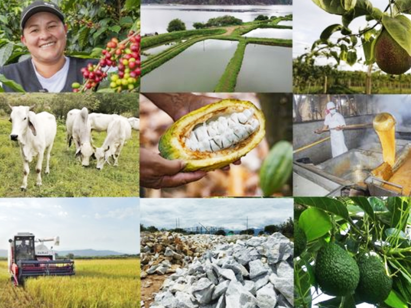 Sector-agropecuario-del-Huila-avanza-hacia-un-nuevo-modelo-de-desarrollo-productivo