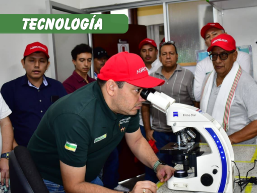 REDES DE INNOVACIÓN