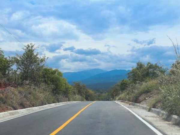 Via departamental